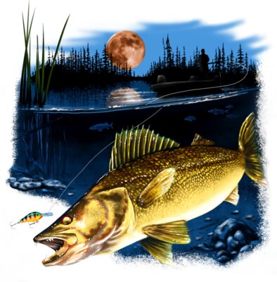 Walleye Scene